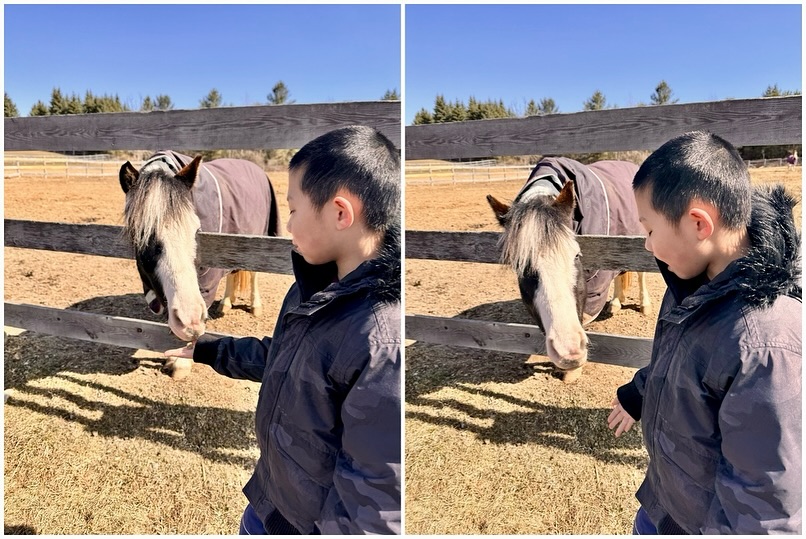 The Crystal Ladder Ranch | Newmarket ON