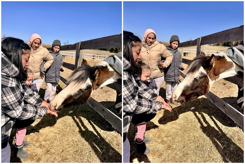 The Crystal Ladder Ranch | Newmarket ON