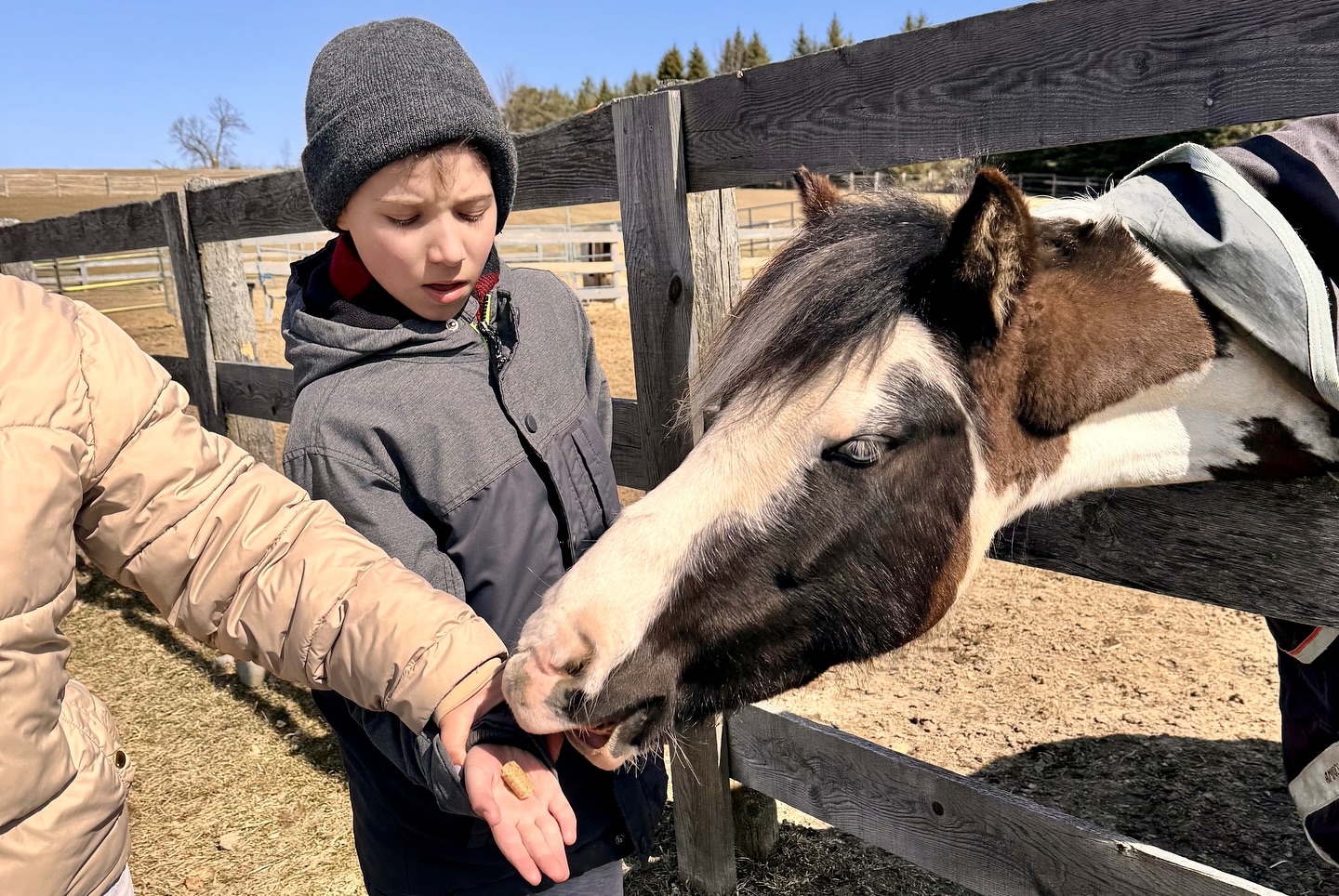The Crystal Ladder Ranch | Newmarket ON