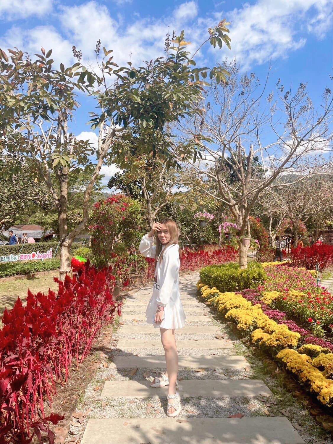 Auy Jiwsuebpong