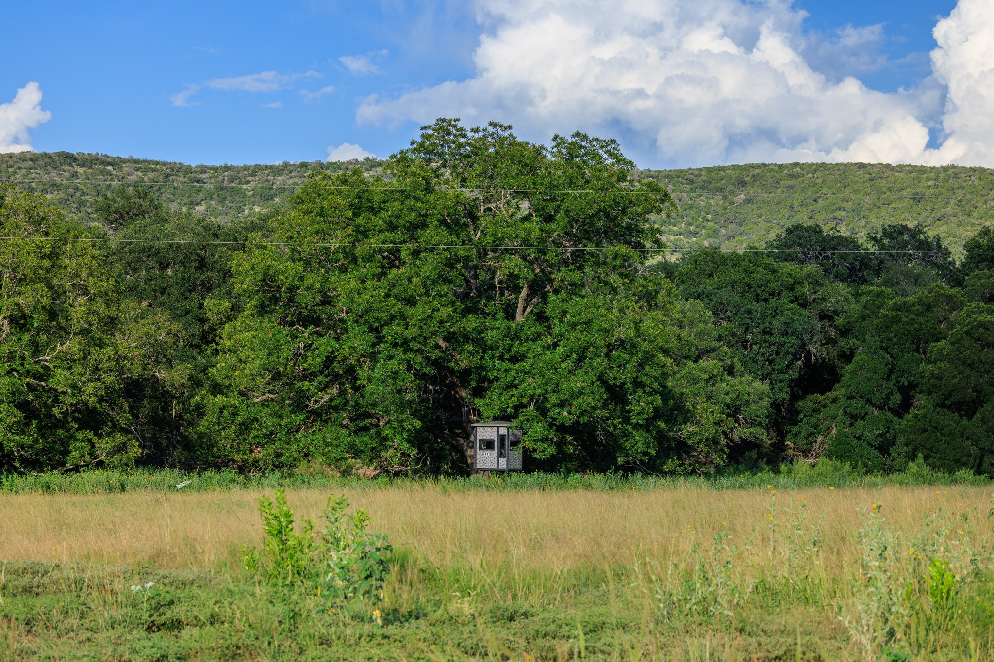 Texas - Blue Frio River Ranch ⎮ 70± Acres A true live-water gem in the ...
