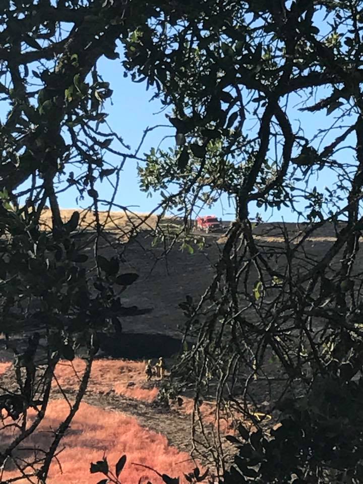 Tilton Ranch | Morgan Hill CA
