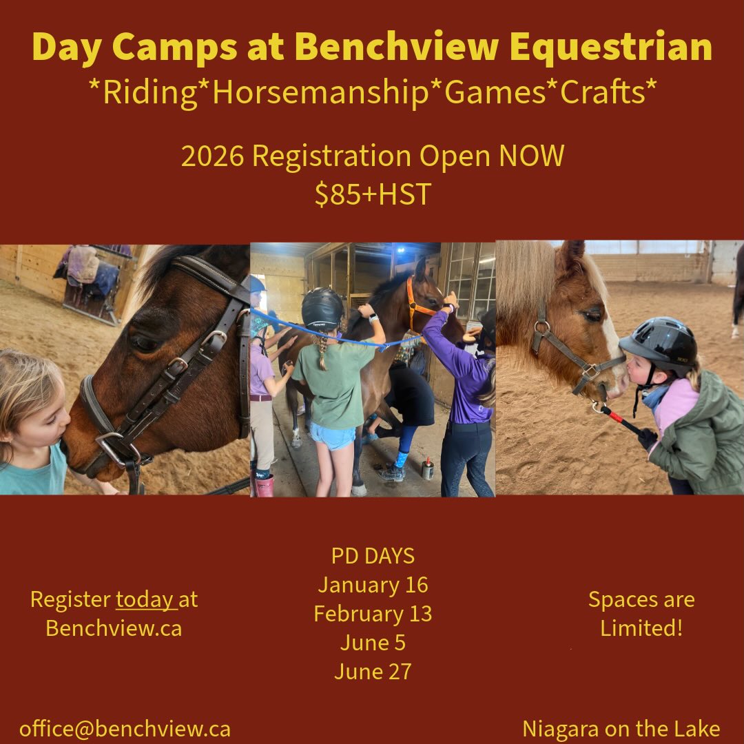 Our viewing room got a... - Benchview Equestrian Centre Inc. | Facebook