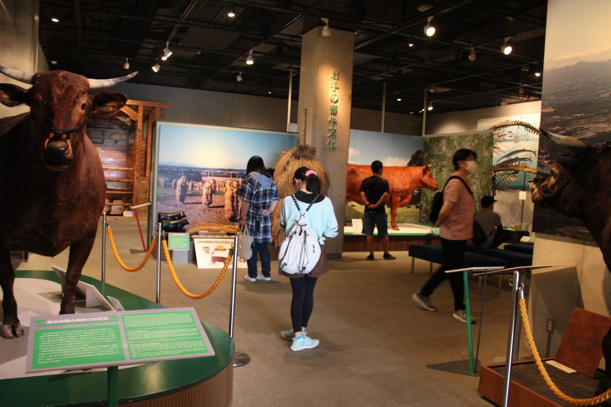 牛の博物館第32回企画展「牛の品種図譜と改良史―明治期における外国