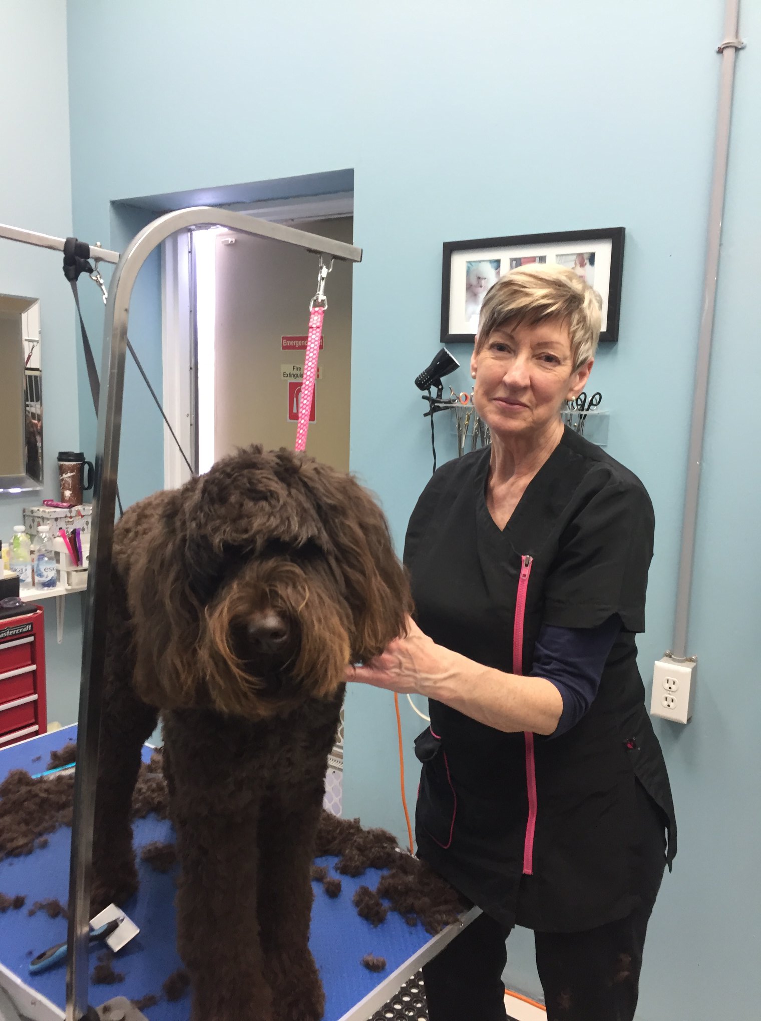 Congratulations to Brenda... - Ruffin's Pet Centre Georgetown
