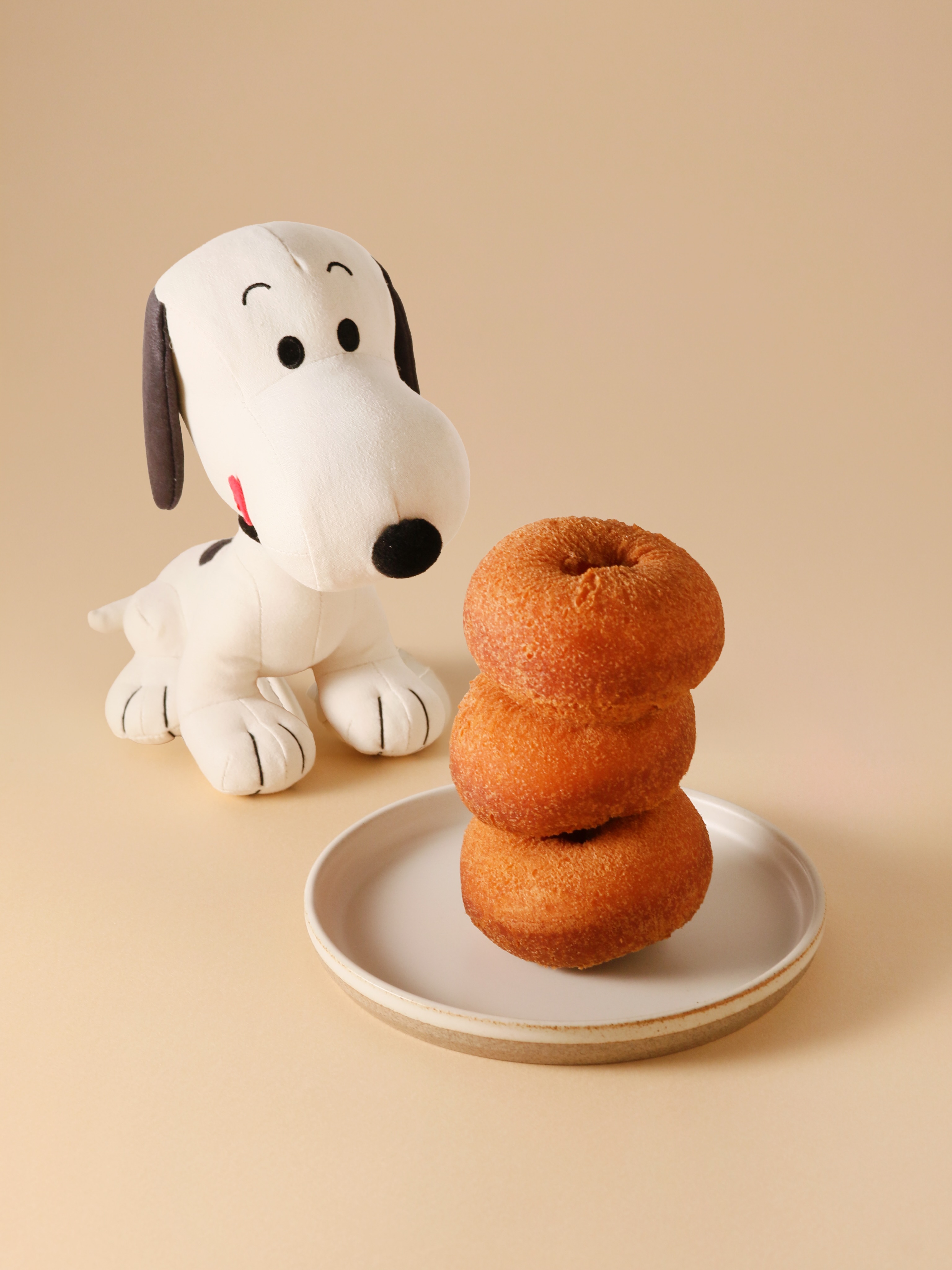 NEW】レア可愛いスヌーピーのクッションカバーが登場！ ⁡ ▷PEANUTS