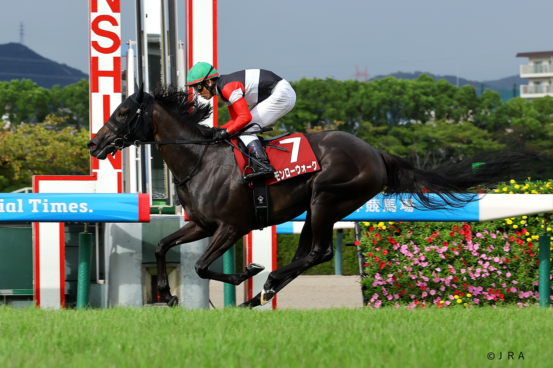 JRA（日本中央競馬会） - 2002年のシンザン記念(GIII)優勝馬