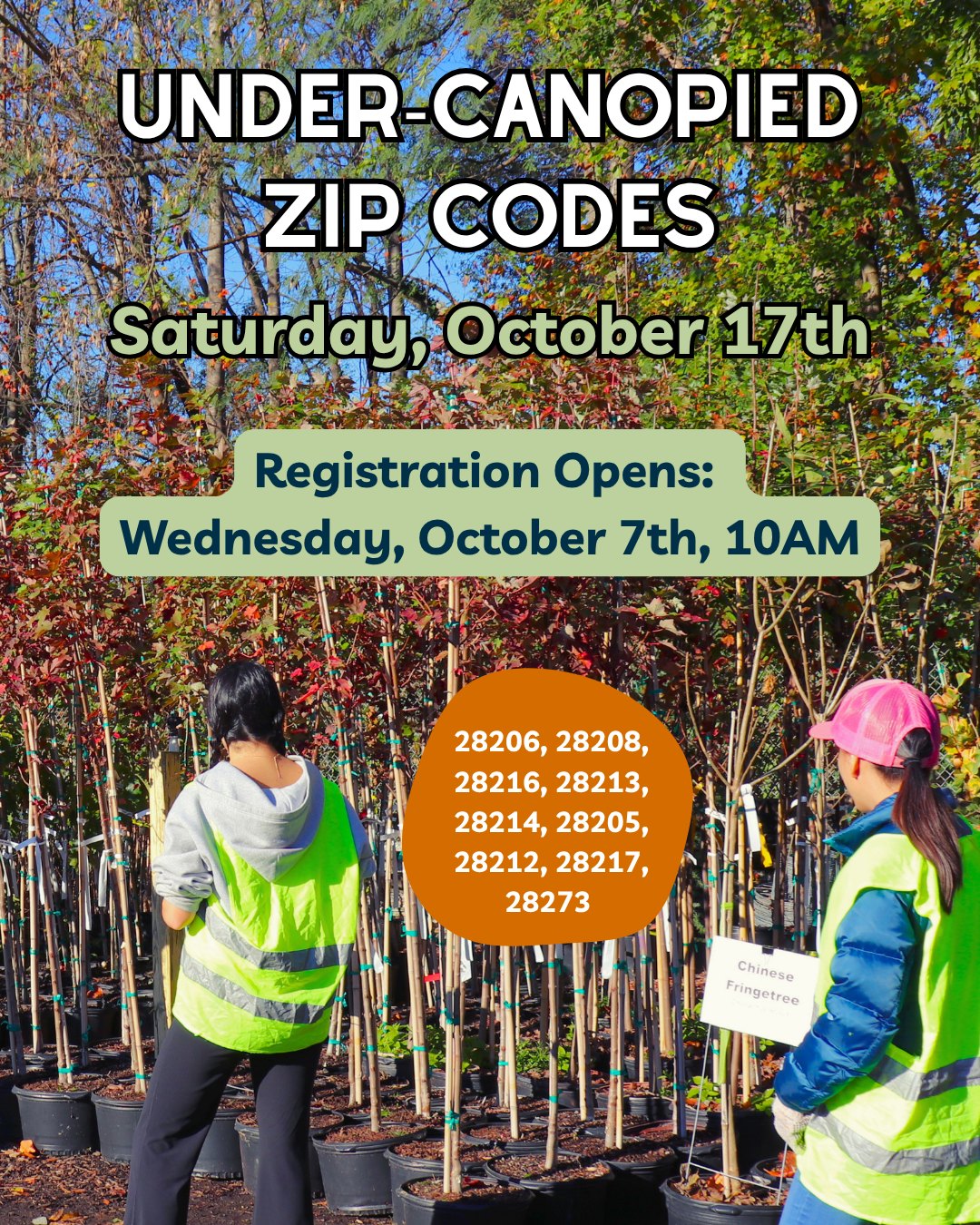 Under-Canopied Zip Code TreeAdoption (SOLD OUT)