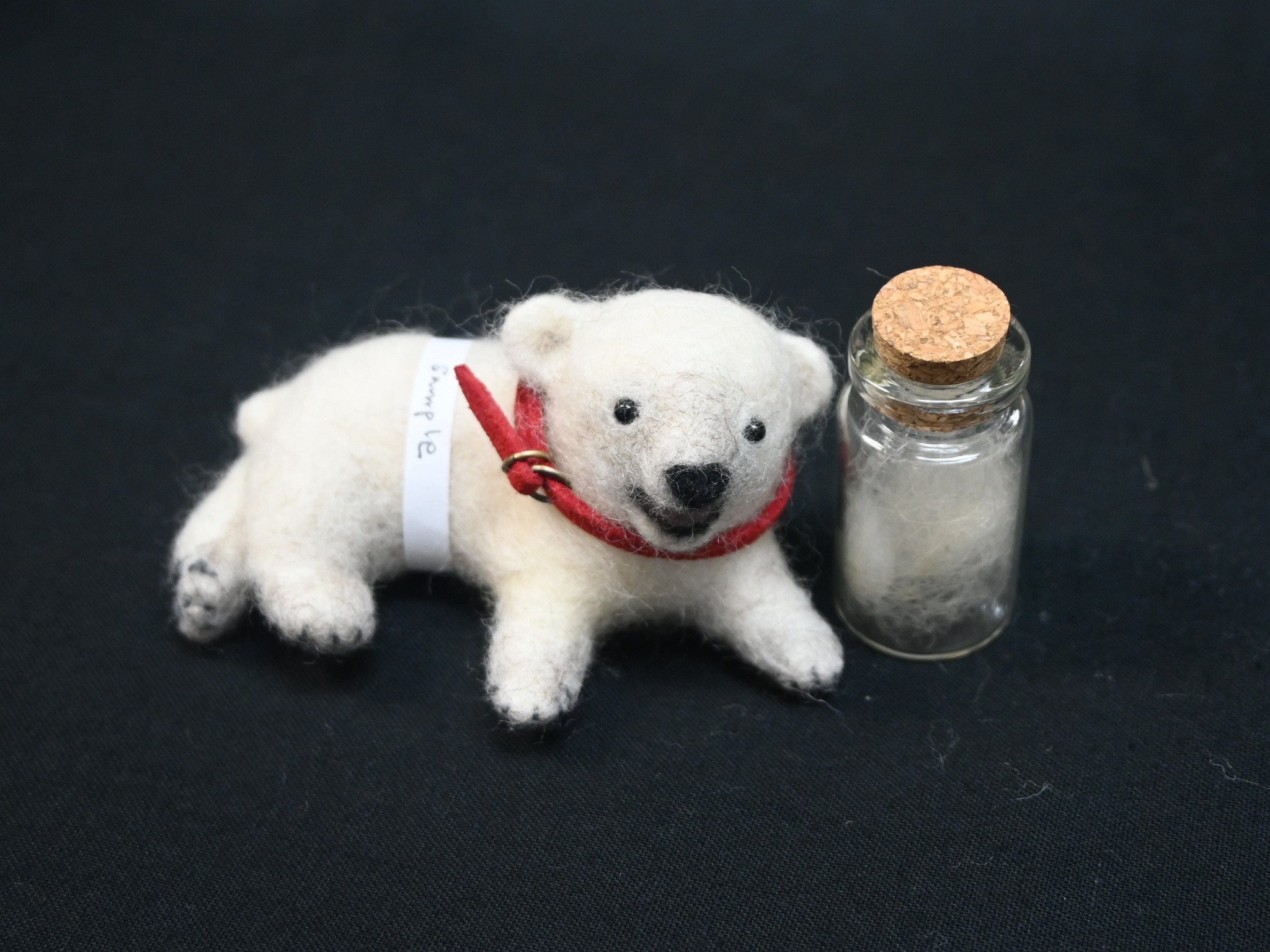 愛媛県立とべ動物園 - 記念品プレゼント ご来園いただいた方、先着