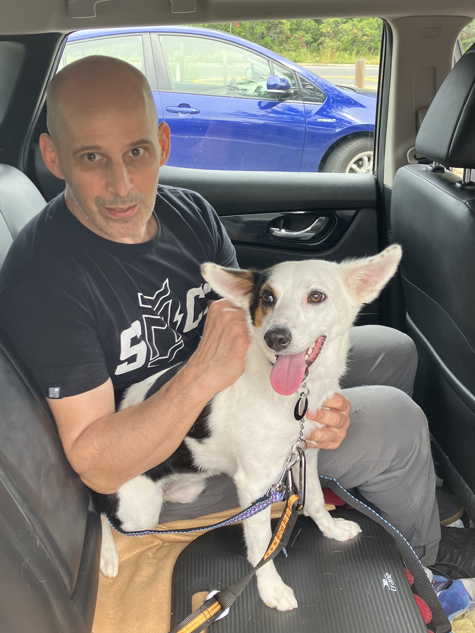 Jersey Shore Animal Center celebrates Zoey's adoption