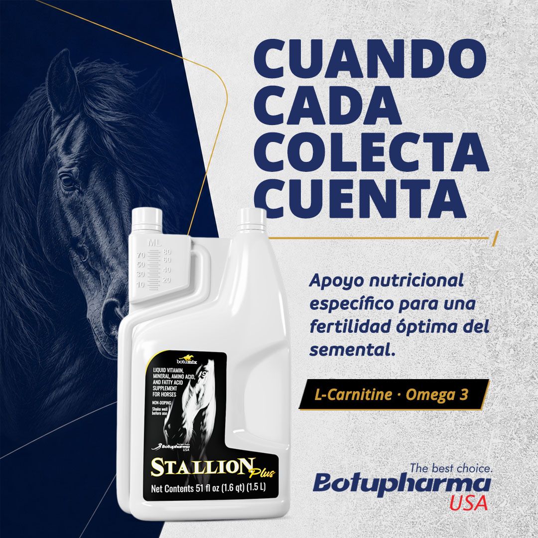 l carnitina fertilidad Cuando cada colección cuenta, la nutrición importa. stallion plus proporciona apoyo especifico con nutrientes clave como L-carnitina y omega-3 para ayudar a mantener la optima de los sementales y el rendimiento Color:Nickel Grey cjc and ipamorelin benefits مصل لتفتيح البشرة