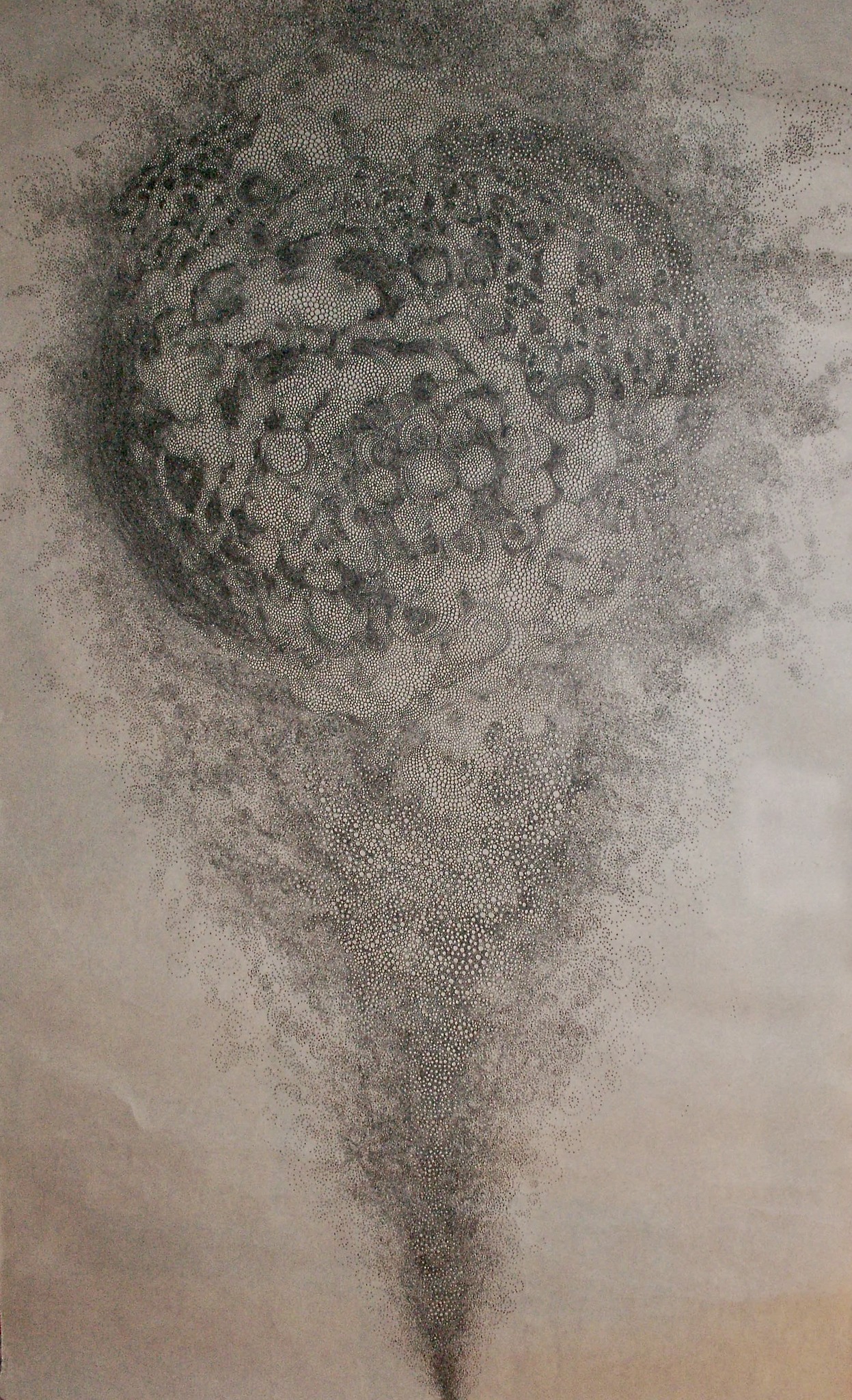 HIROYUKI DOI's four Circle Drawings are in the collection of