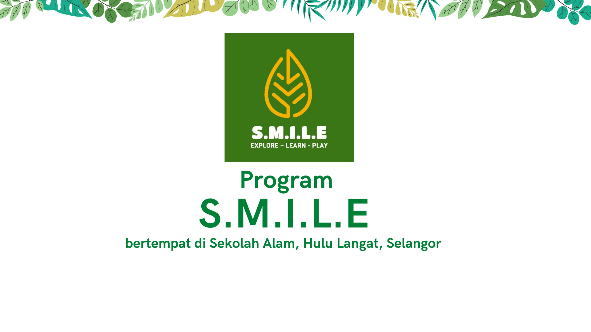 SMILE - Skills of Multiple Intelligences Learning and Engagement
