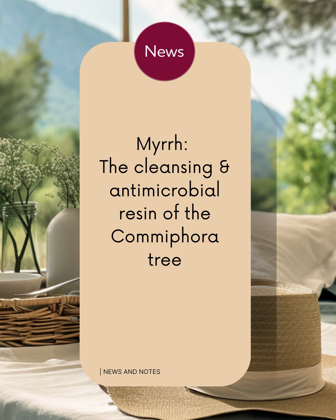 Natural - Myrrh, a resin from Commiphora myrrha, has long been valued ...