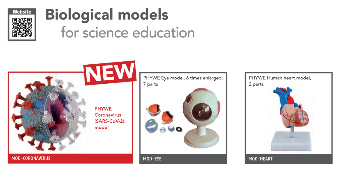 Phywe Thailand - Biological models for science education... | Facebook