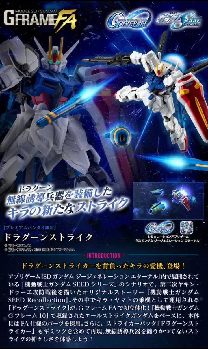 new Strike Gundam dragoon strike backpack new option parts HG 1