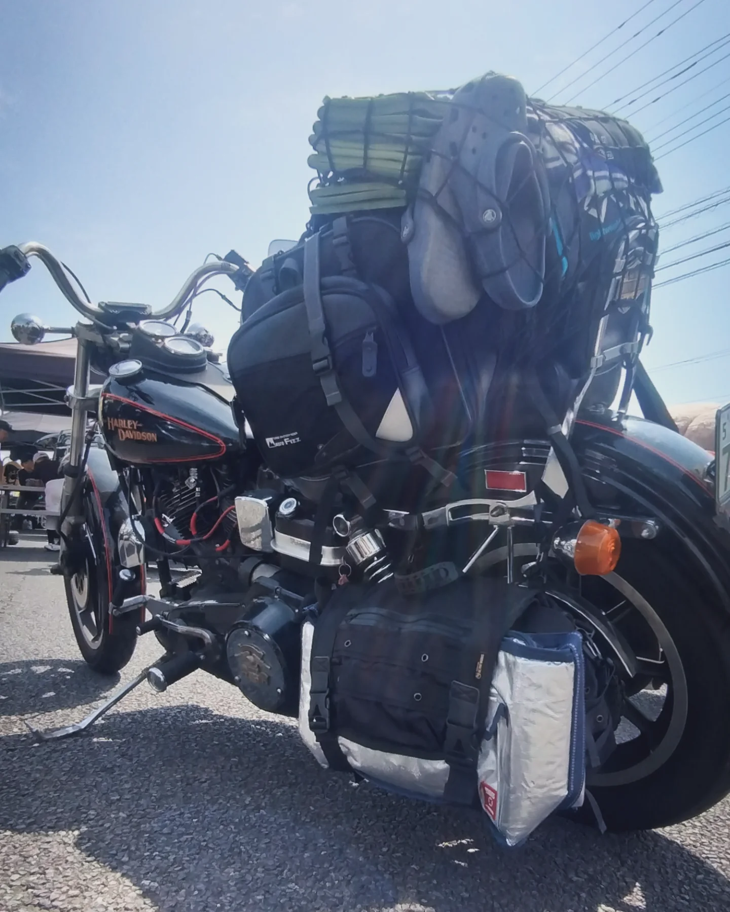 Rough Tail（ラフテール） added a new photo —... - Rough Tail 
