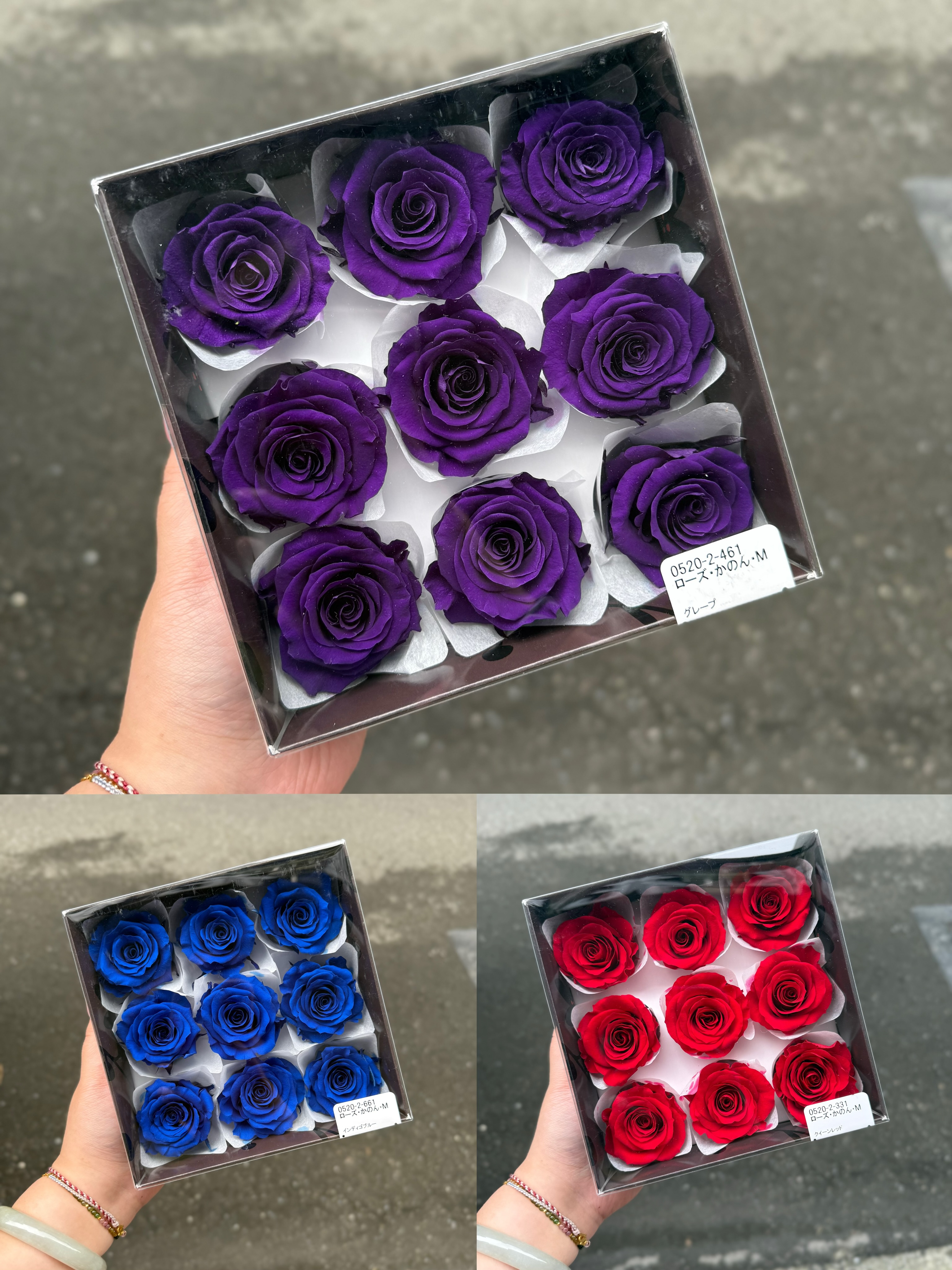 穗花婆婆Spike flowers | Taipei