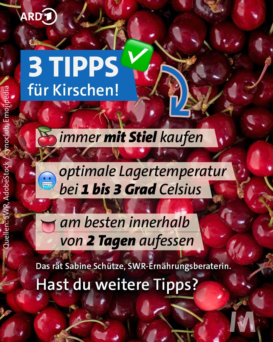 fahrradanhänger 5 jahre KESSER® Kinderanhänger 360° Drehbar mit Federung 2in1 Joggerfunktion Kinderfahrradanhänger + 5-Punkt Gurt Jogger Fahrrad Anhänger für 1 bis 2 Kinder max. 40kg Inkl. Warnfahne, Blau Baby 1. Bitte wählen Sie: SPEICHERKAPAZITÄT (Liter):70 Category:E Bike Trekking_Shimano Tiagra HB RS470  12x100mm  Centerlock Unglaubliche e-bike eBike ATAA