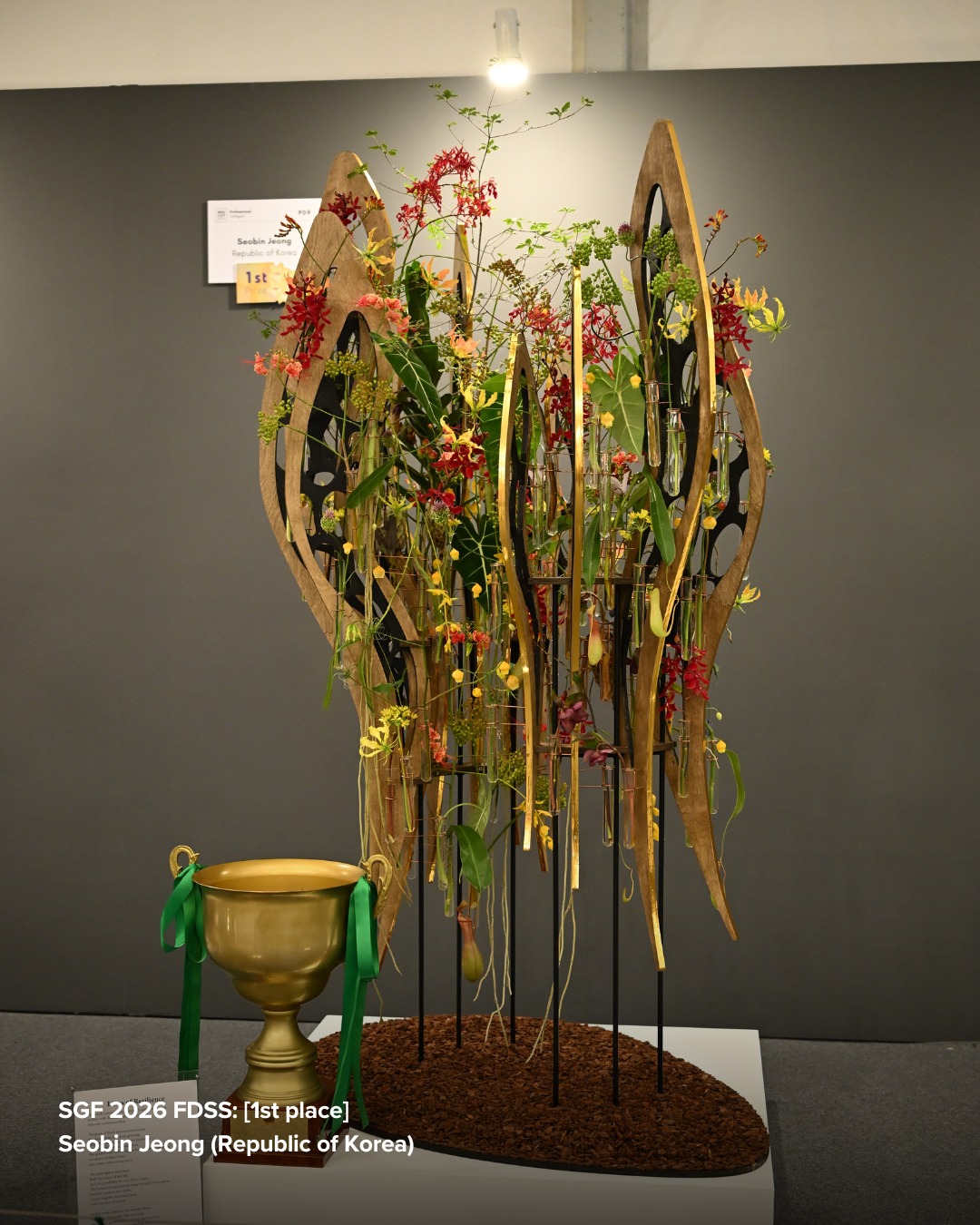 Congratulations to the winners of the Professional Category at the