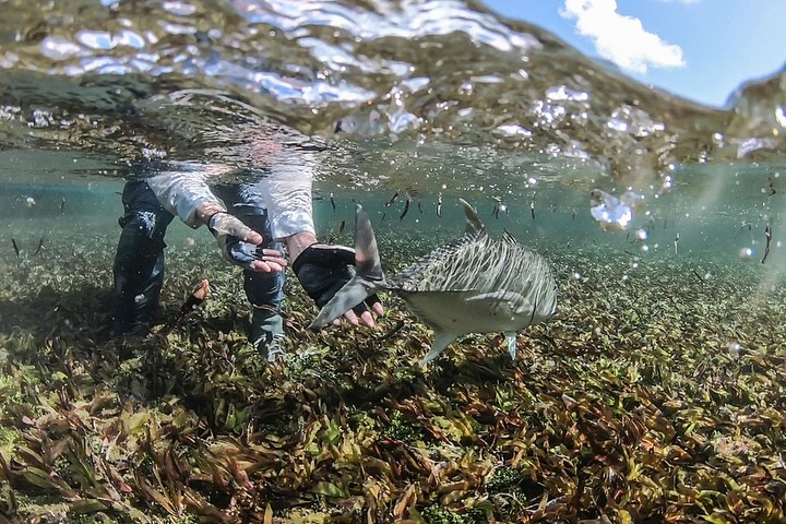 Keith Rose-Innes Flyfishing... - Keith Rose-Innes Flyfishing