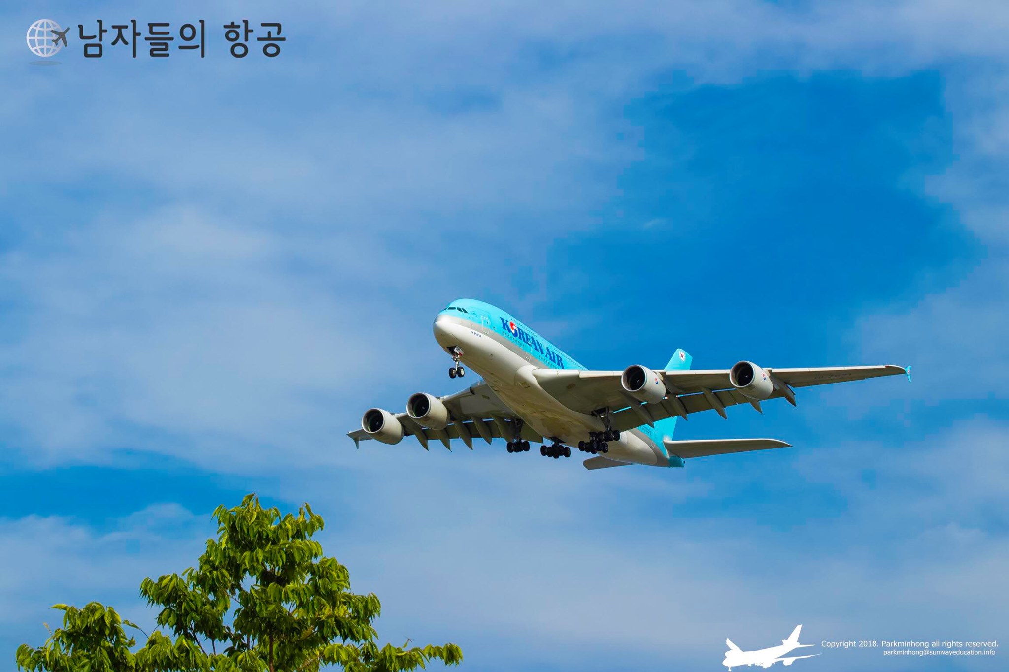  서울고려관광 - 서울고려관광 updated their cover photo. Bildidee 