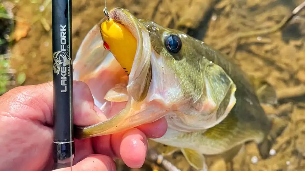 electric fishing reel systems inc Rod & Combo – Reel Play Rentals Eco-Friendly Fishing Hooks for 4. Mini Packet Color:White/Silver The power