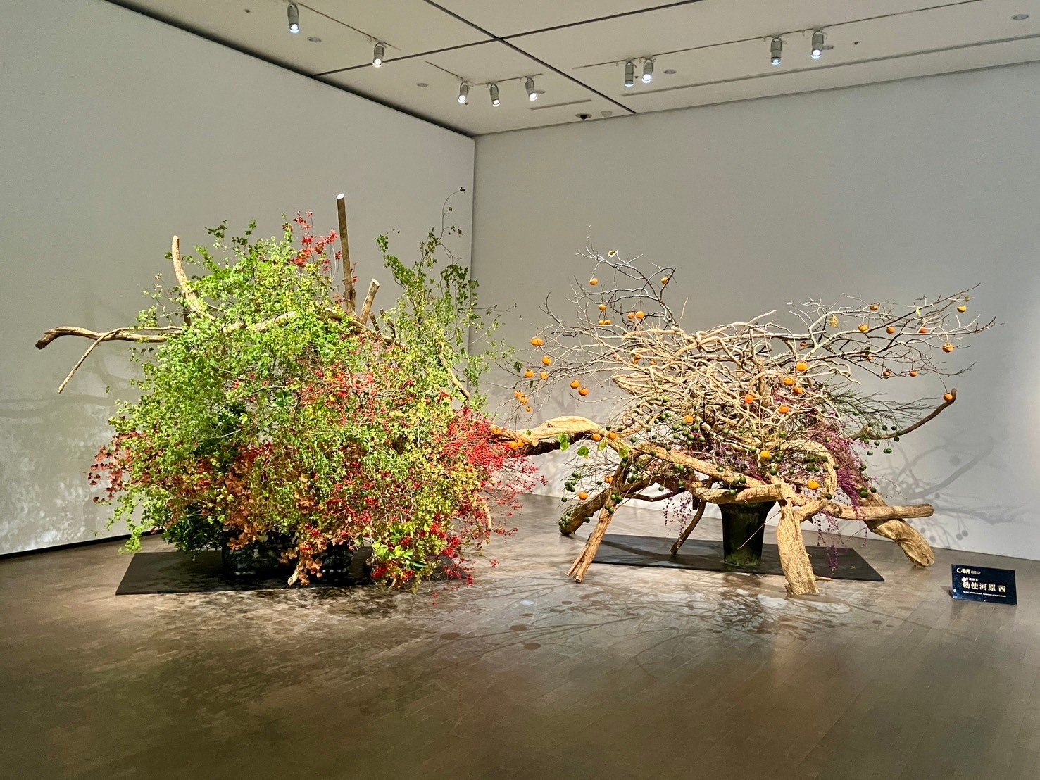 いけばな草月流 Ikebana - 初代家元：勅使河原蒼風の作品。 「とどろき」