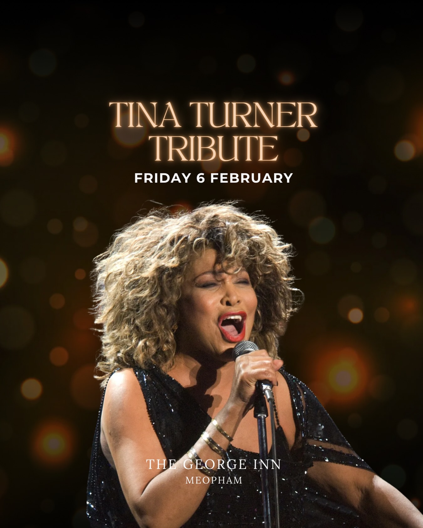 The George - Tina Turner Tribute Join us at The George Inn for an ...