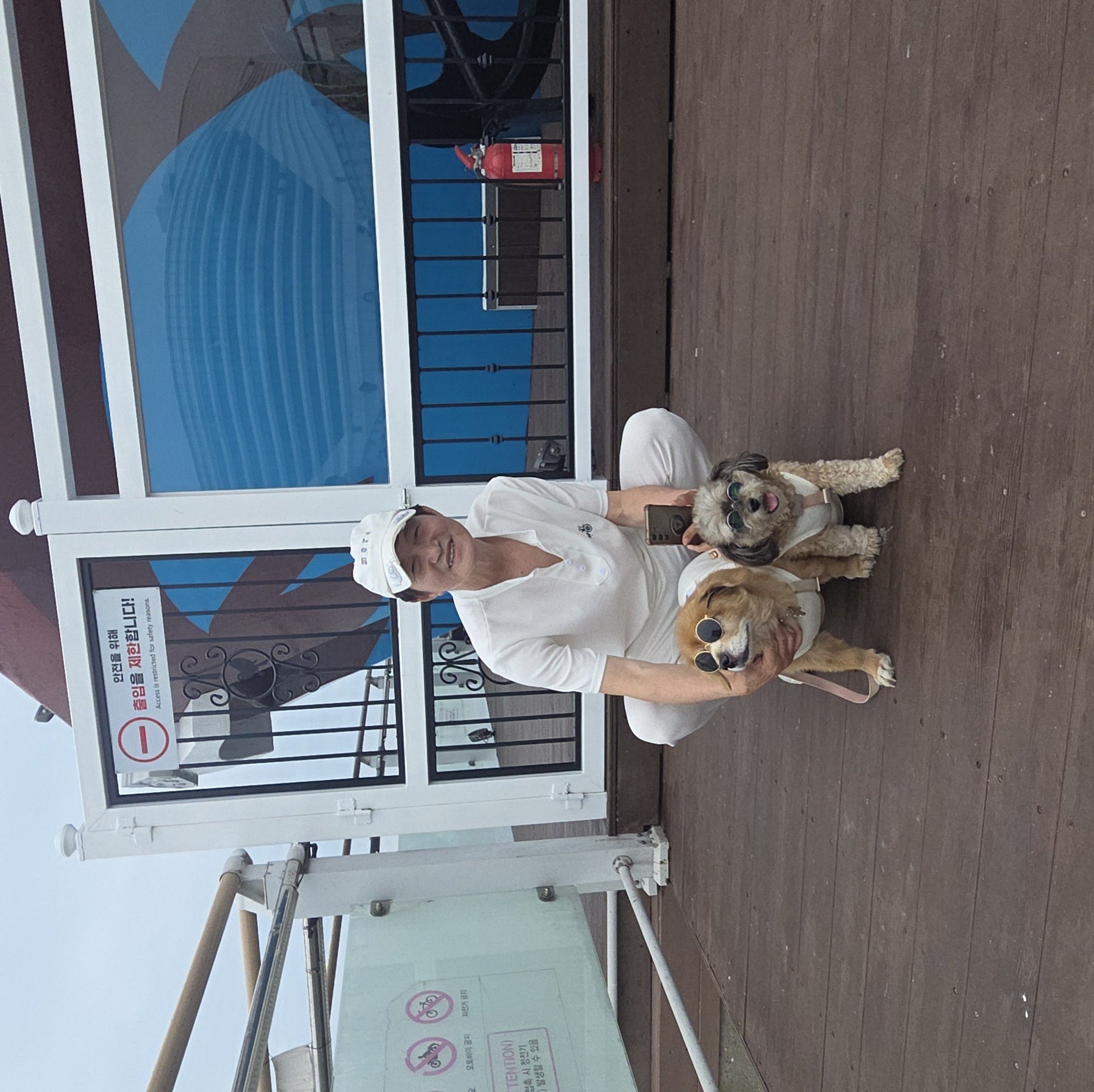 잘기다려주는 기쁨 #기다림 #강아지 #아빠와강아지 #cutedog | 배성범