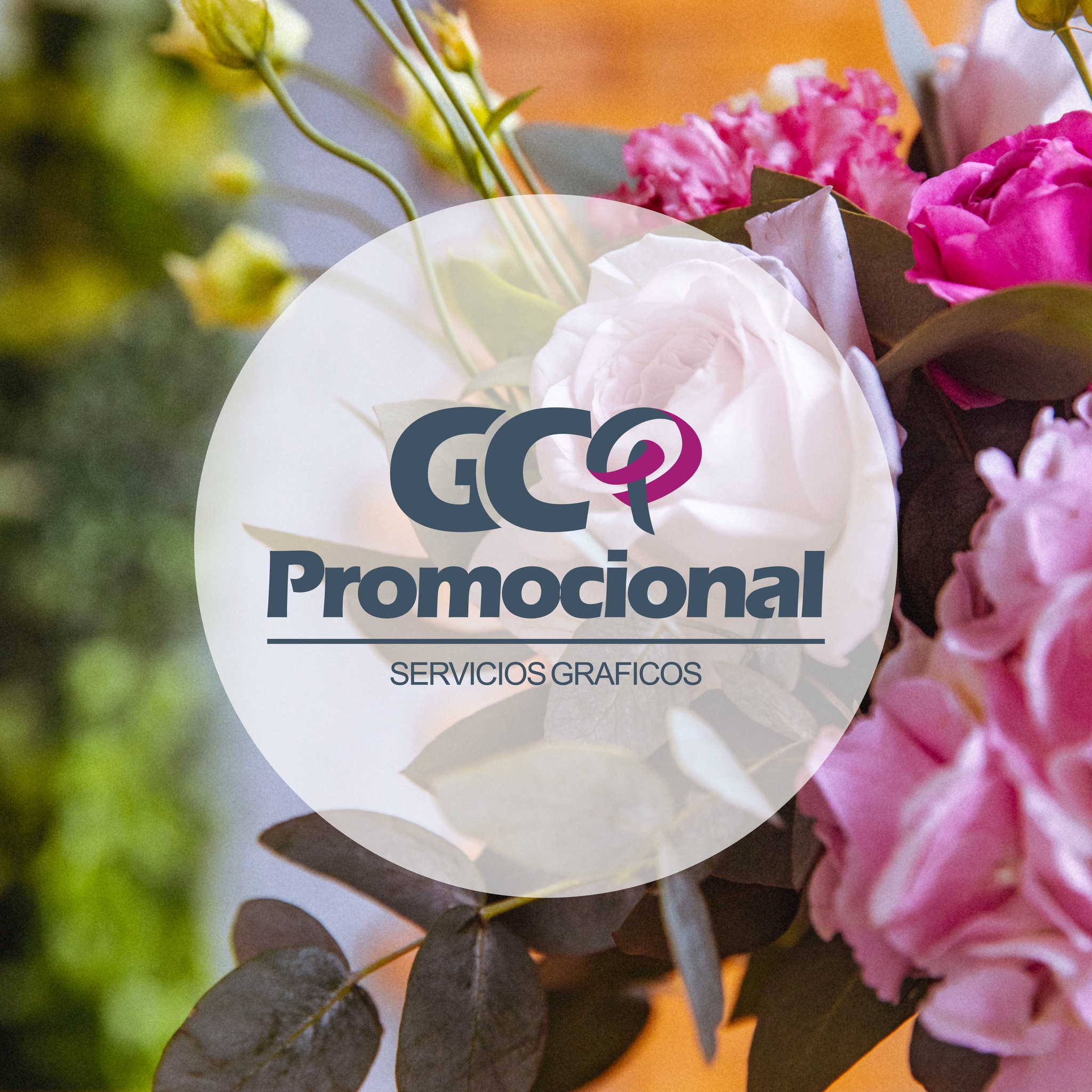 GC Promocional | Morelia