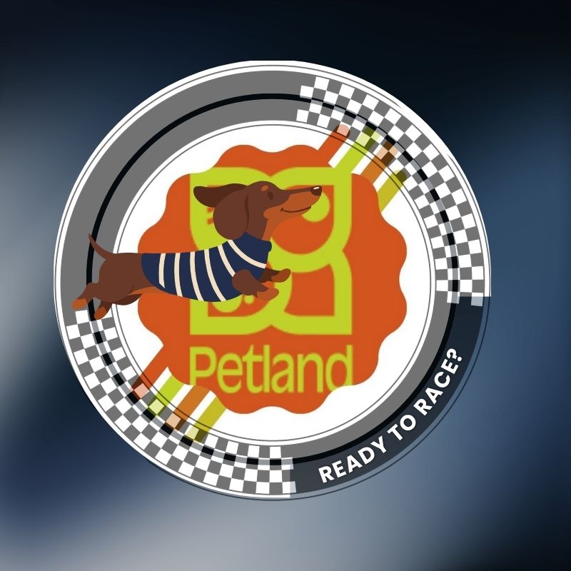 Petland Topeka - The pumpkin patch has nothing on these... | Facebook