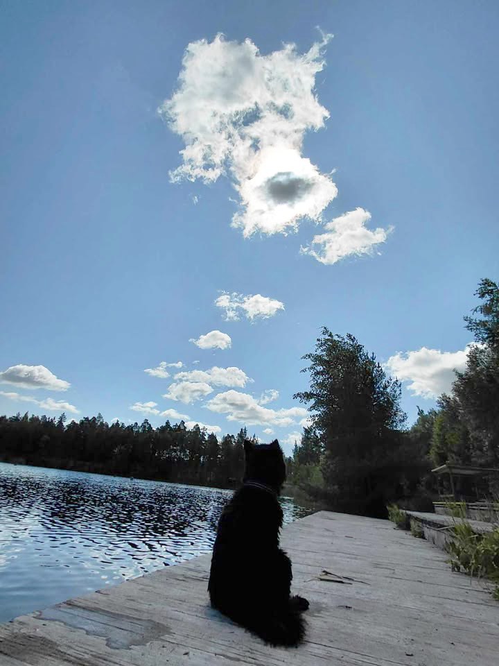 Pikku - ☁️Ransun muotoinen pilvi nähty Turussa! Kuvassa Huili 7v ...