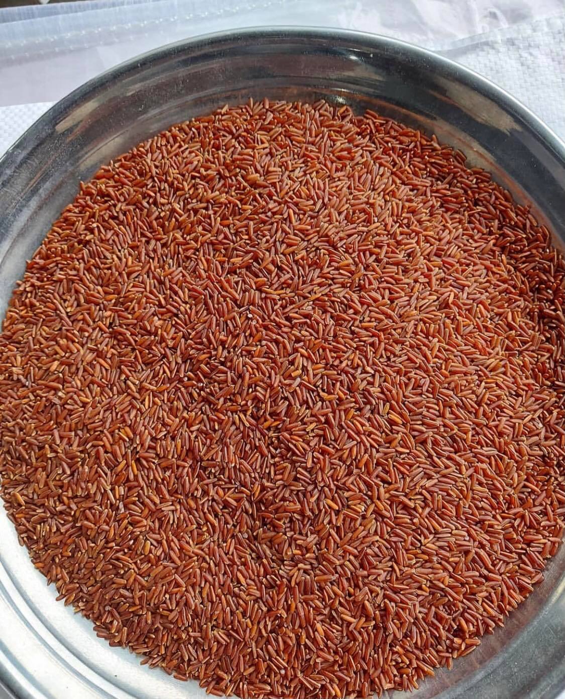 Red Rice - Gao Lut... - Viet Nam Rice and Spice Manufacturer