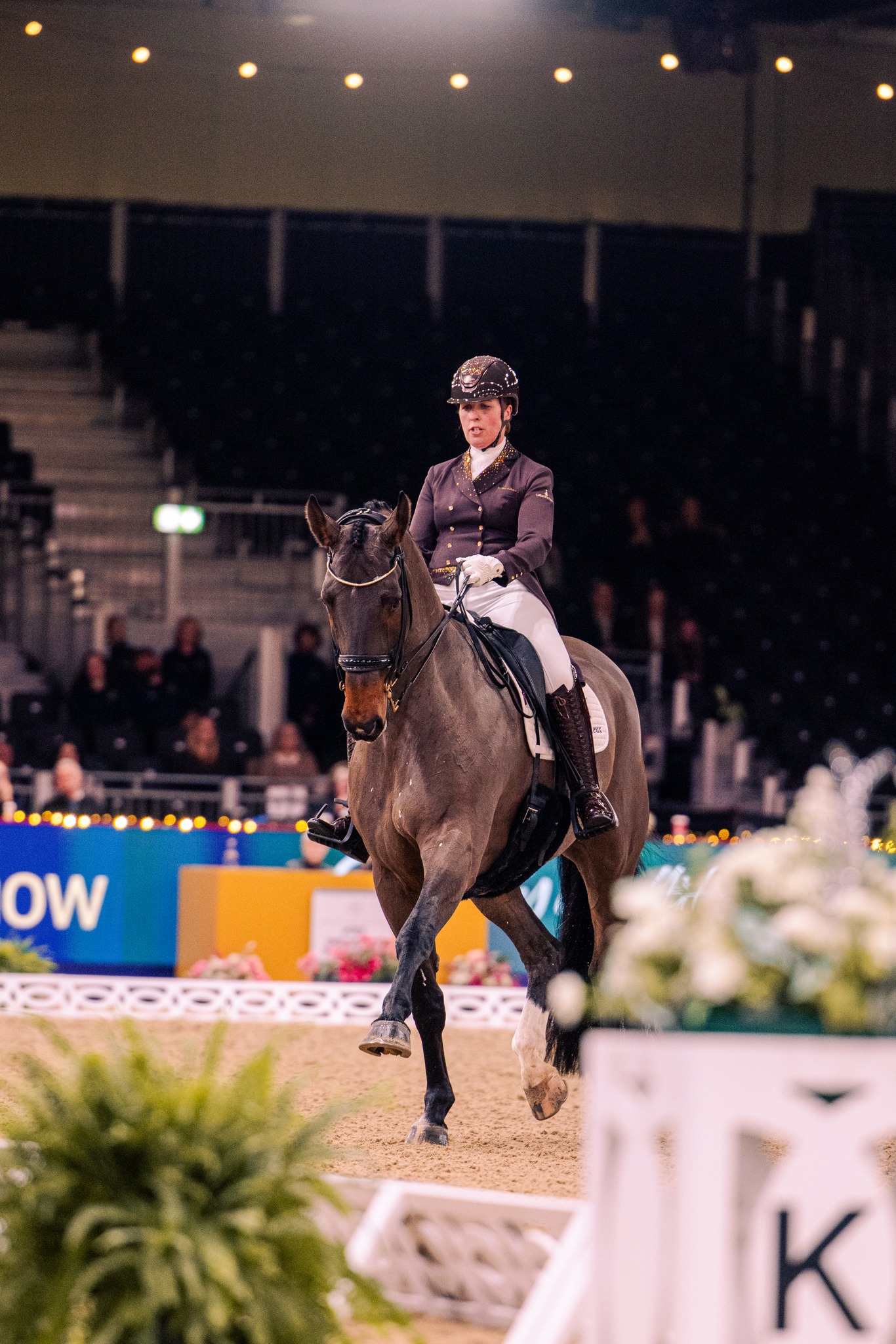 British - It's dancing day! The FEI World Cup qualifier Grand Prix ...