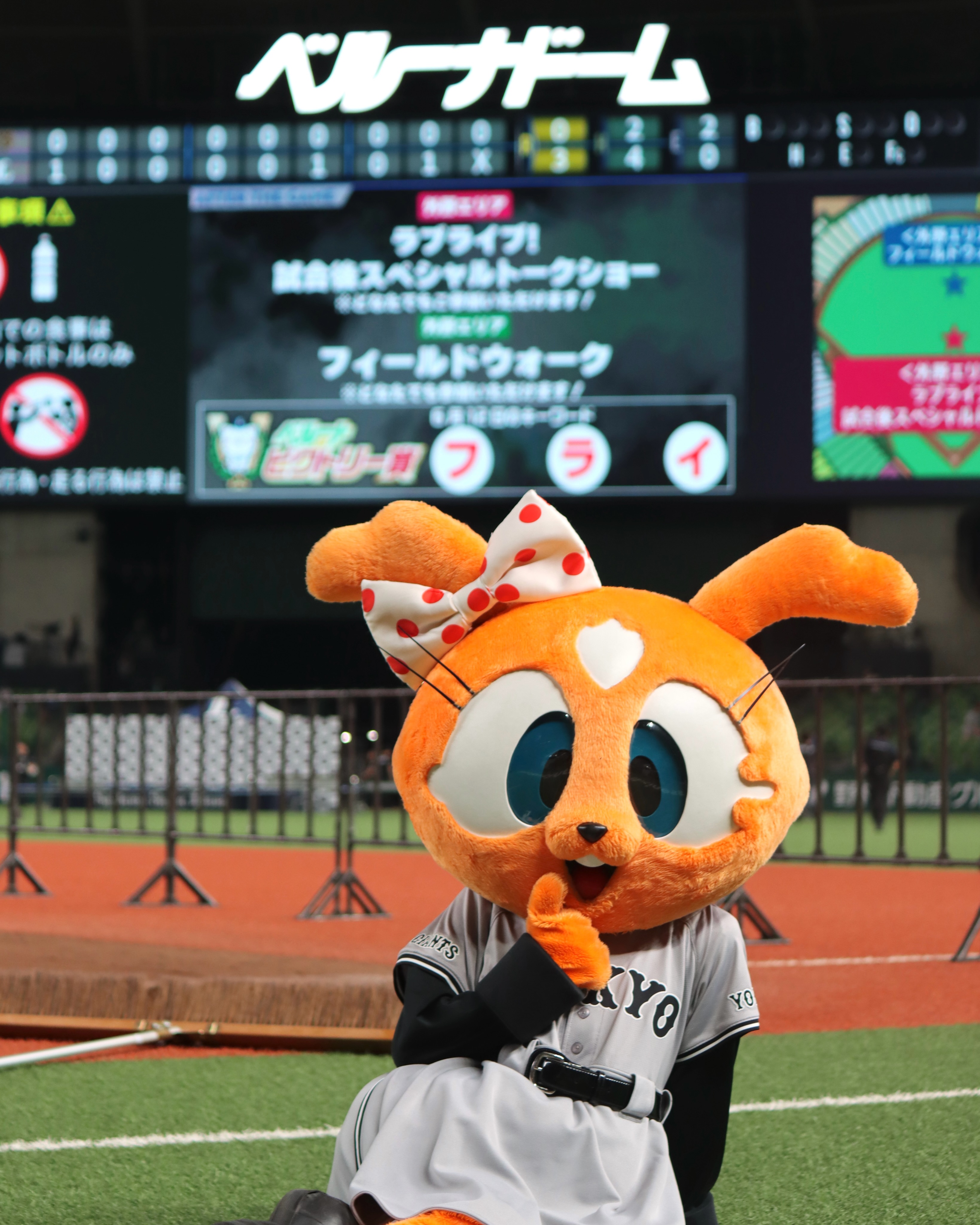ジャビット くん ジャイアンツオフィシャルストア通信 VOL 27 巨人軍 