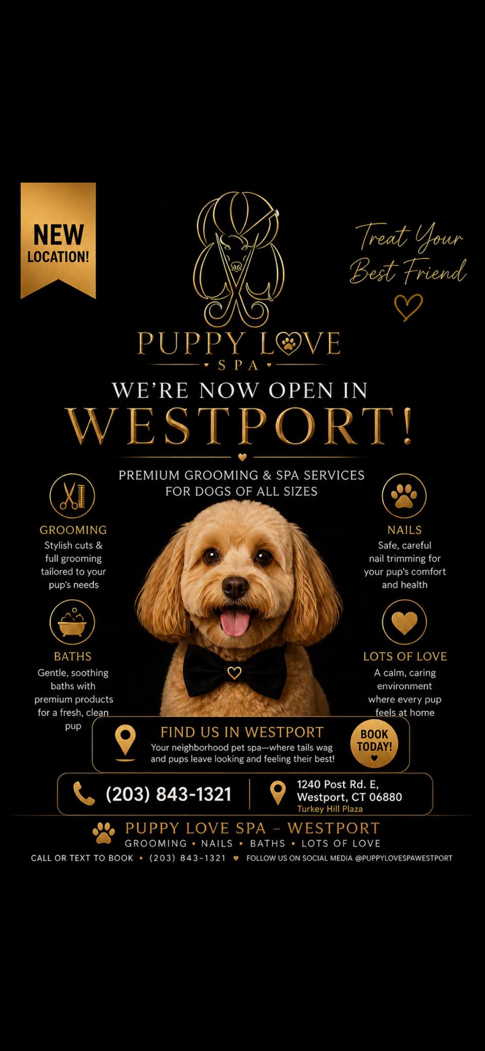 Puppy Love Spa & Boutique LLC | Westport CT