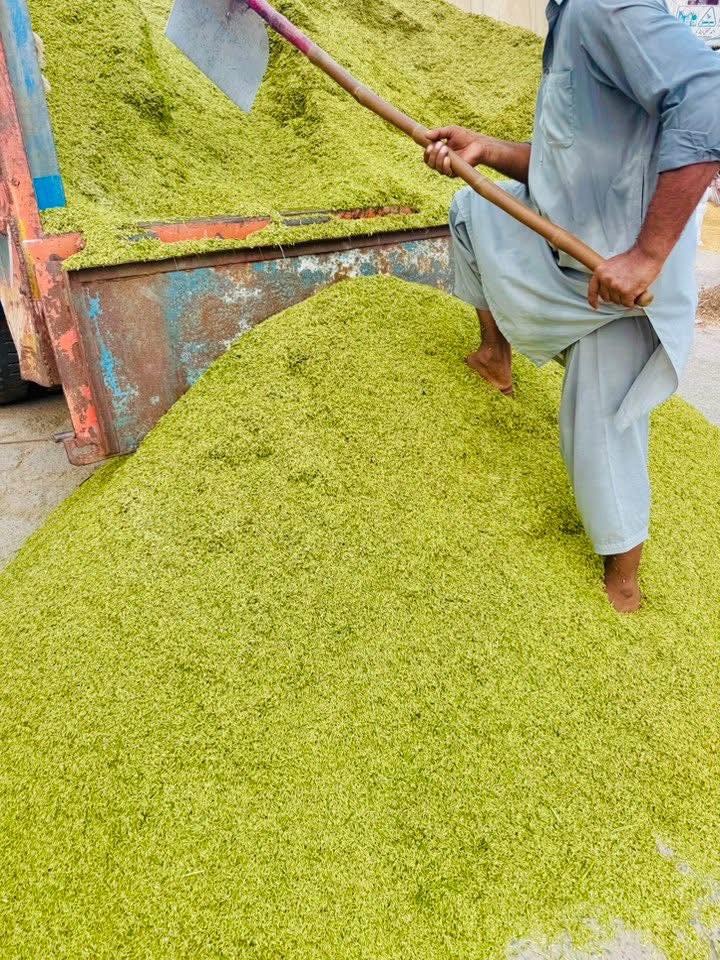 M Yaseen Rice Mills