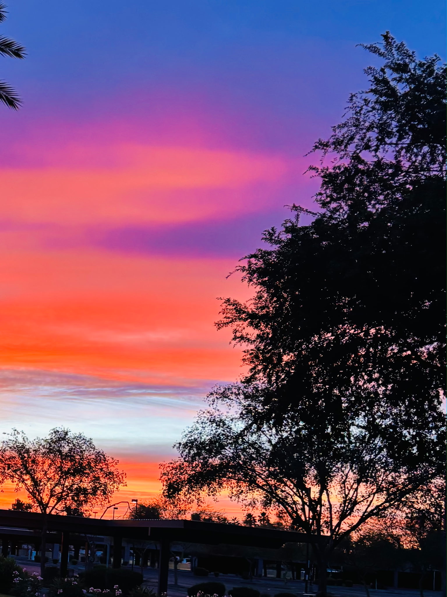 Breathtaking Phoenix sunset kicks off Monument Valley tour