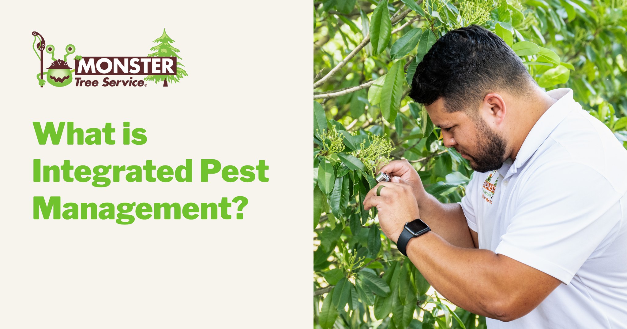 Monster - Winter may feel quiet, but pests are already planning their ...
