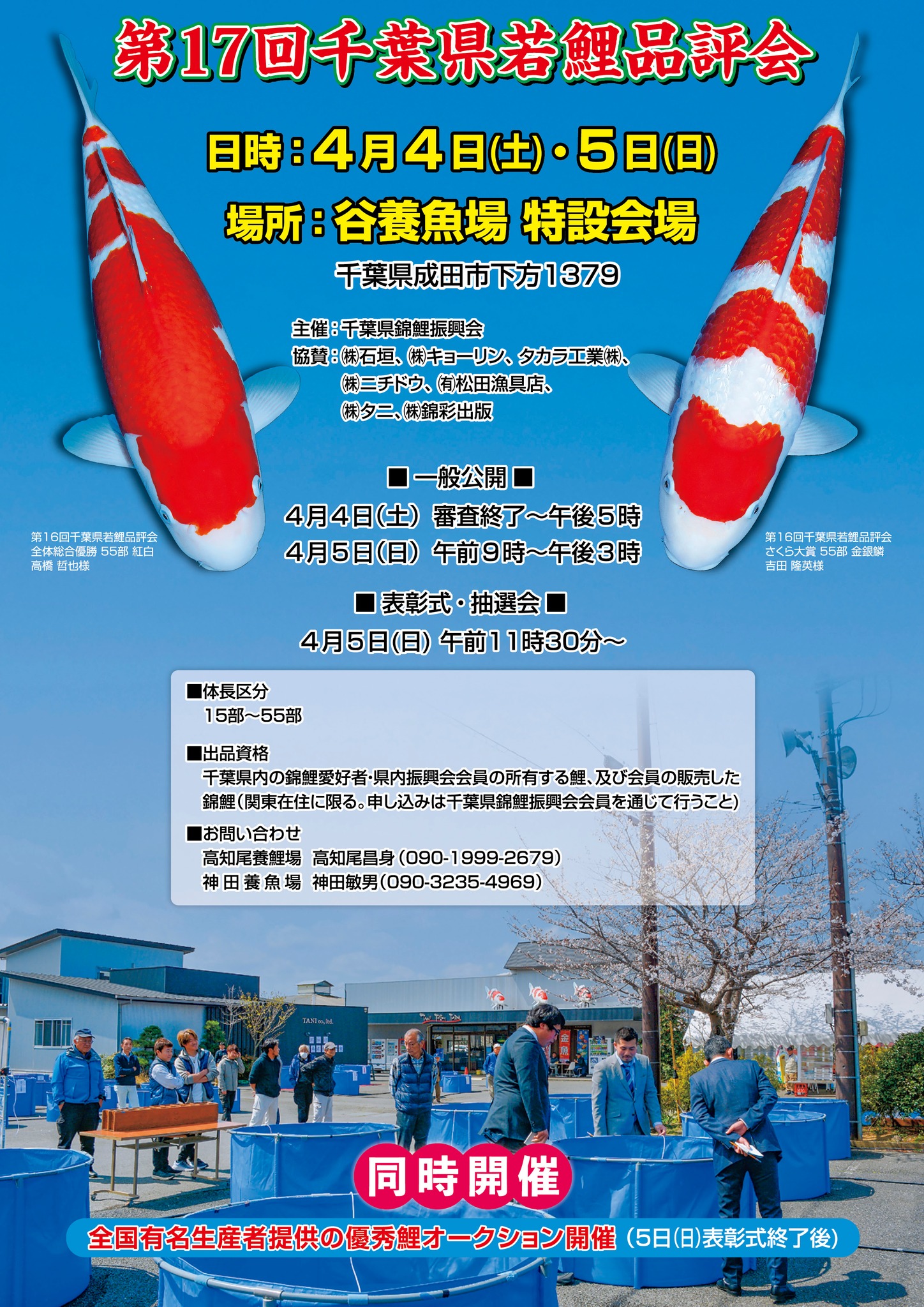 品評会情報 《第17回千葉県若鯉品評会》 開催：4月4日㈯・5日㈰ 会場