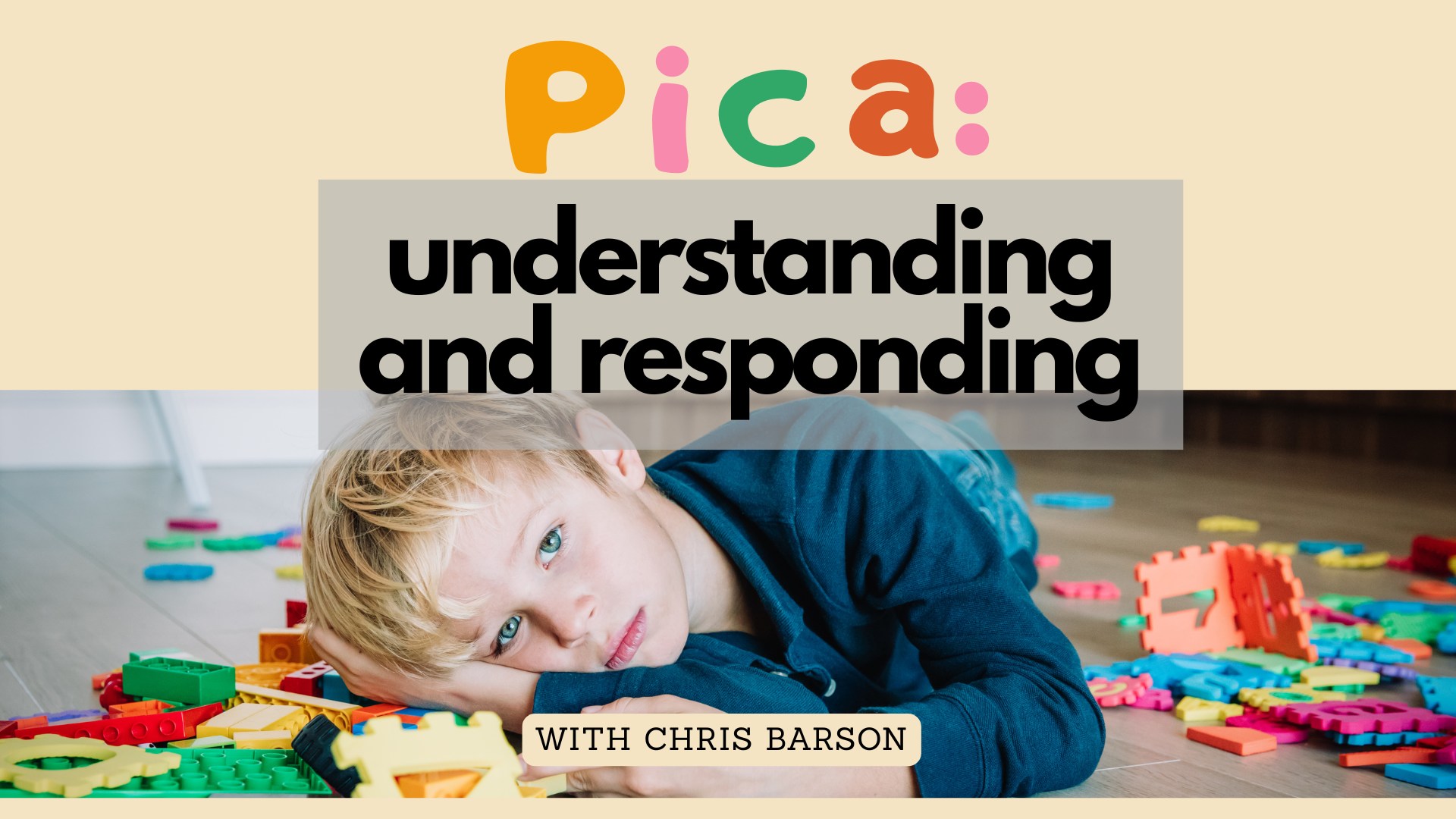 Hirstwood - Pica: Understanding and Responding 📅 6 March 2026 | 9 am ...