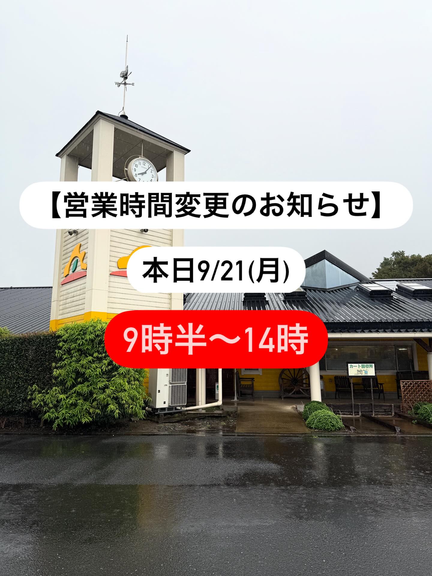 ポケット ファーム どきどき 茨城 町 店