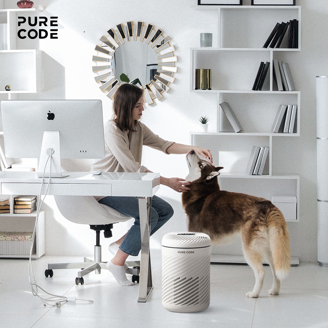 Pure Code Lifestyle