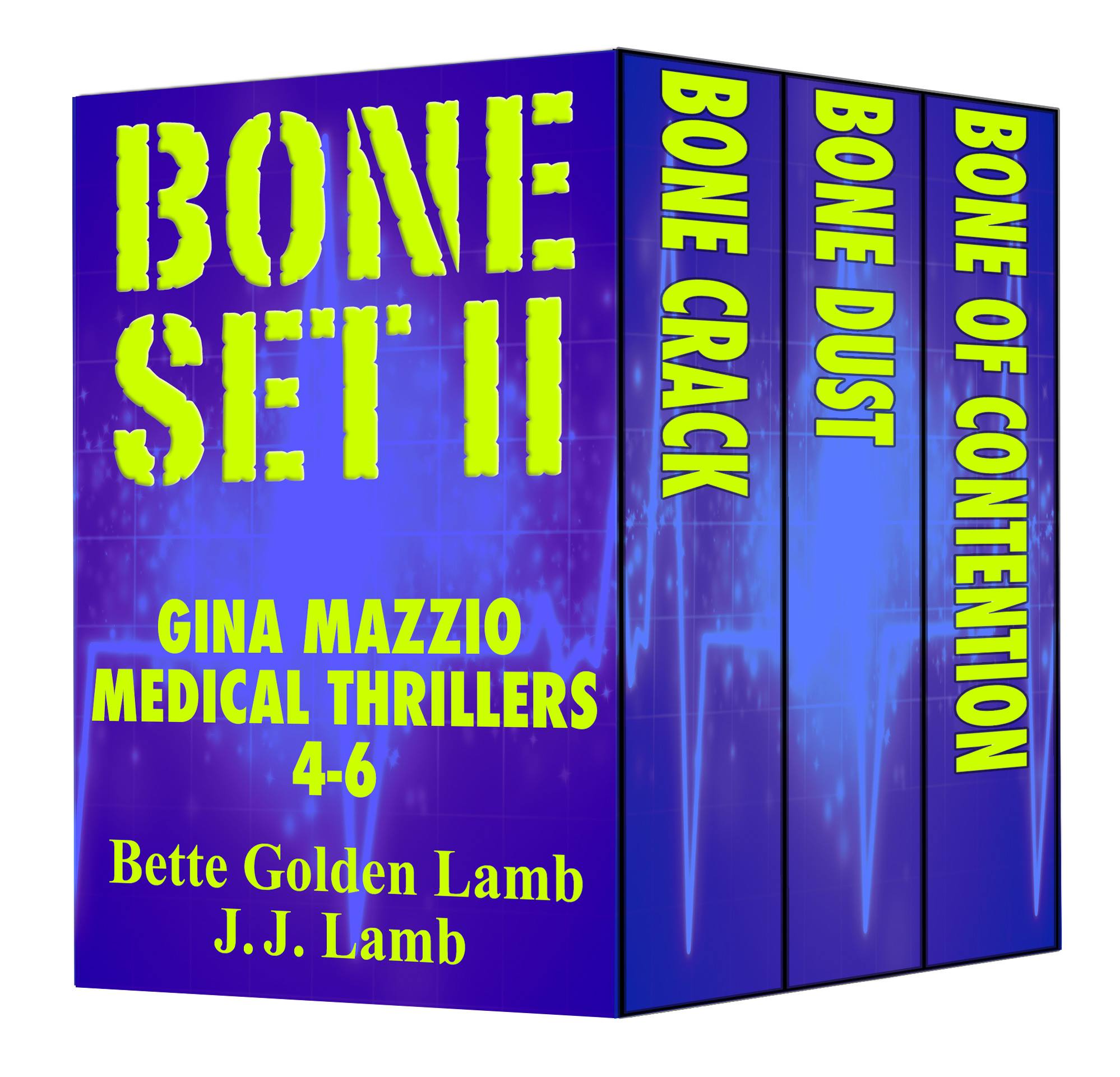 Sin And Bone Gina Mazzio Book 2