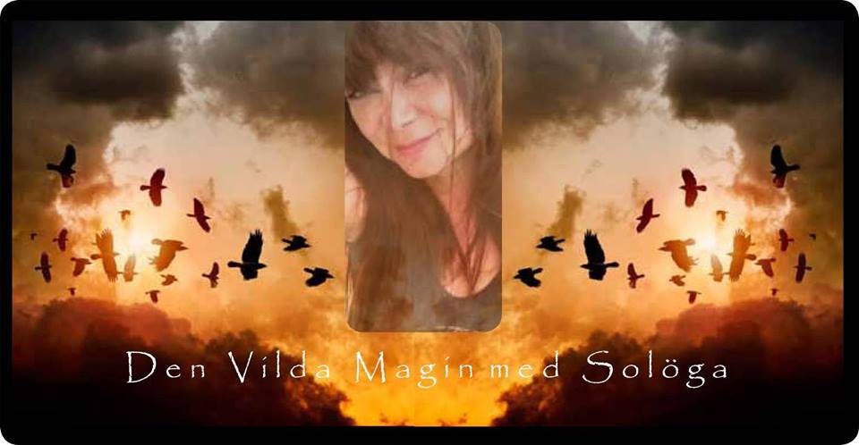Solöga