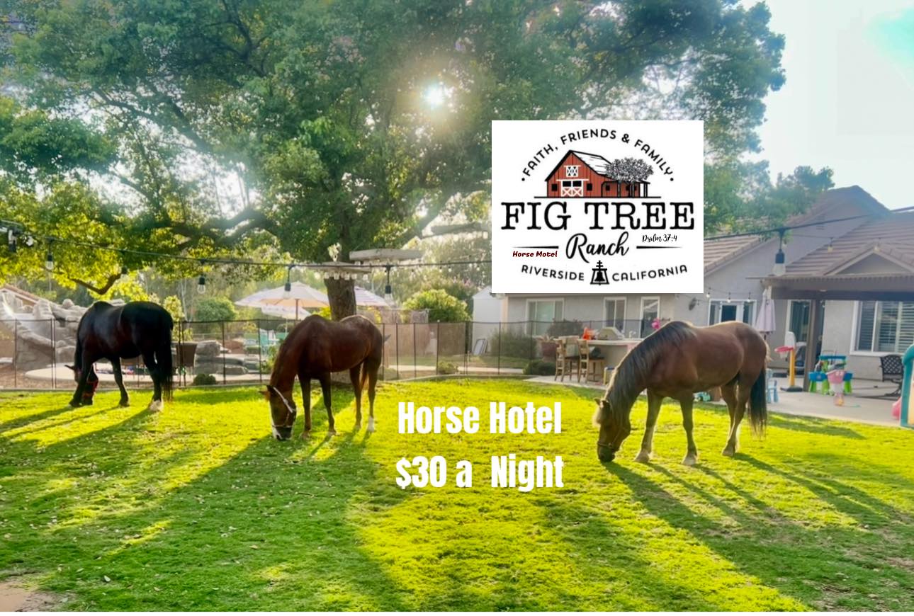 Fig Tree Ranch