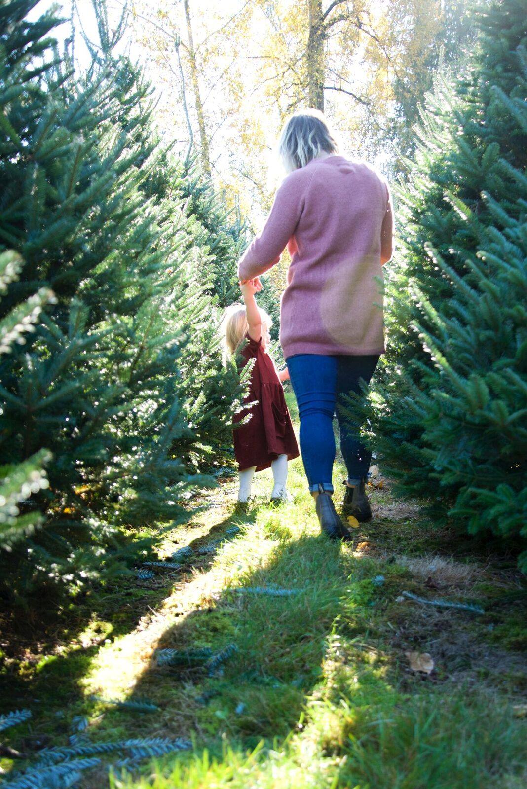 Bough & Branch Christmas Tree Farm | Abbotsford BC