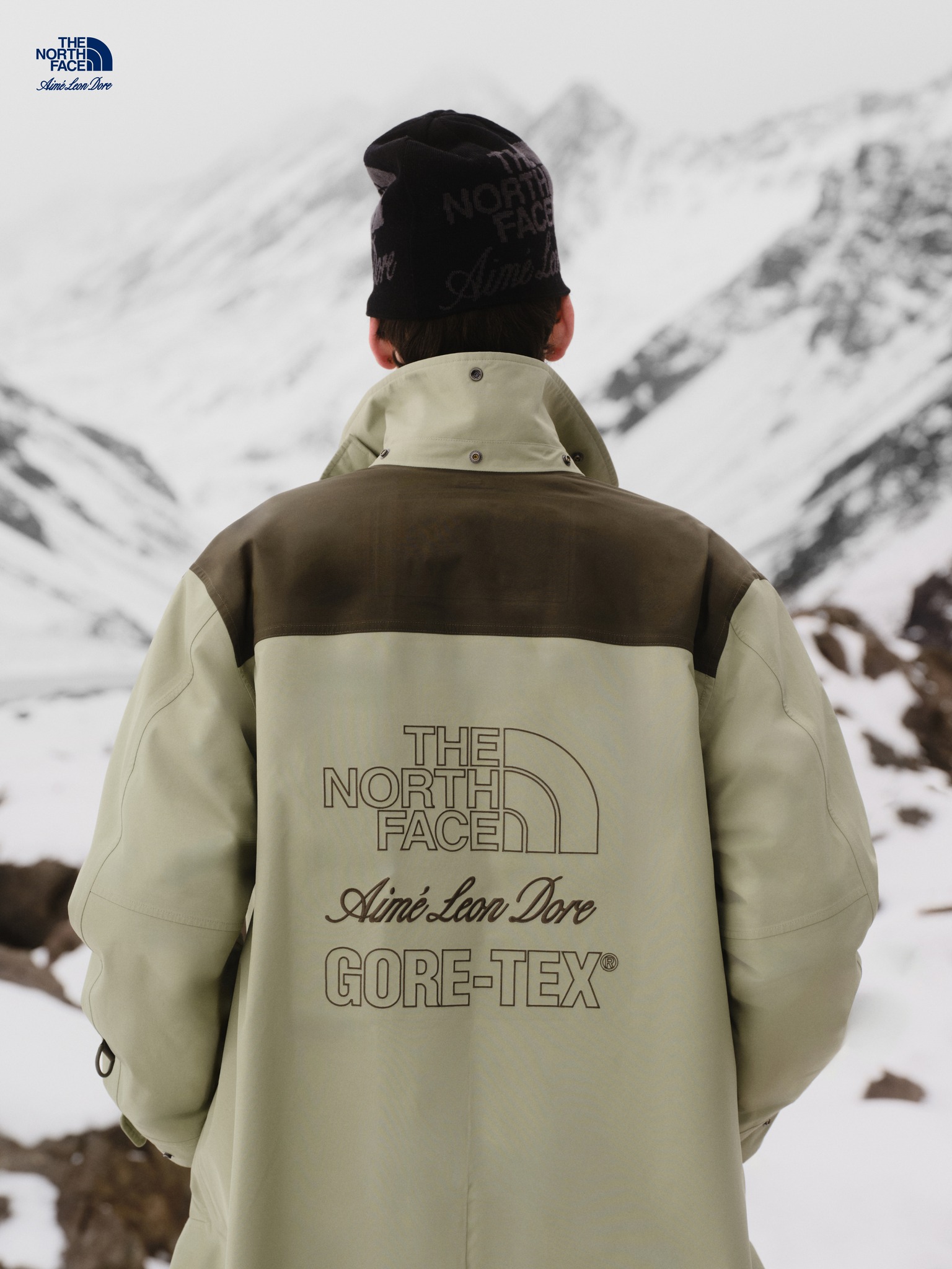 The North Face Aime Leon Doreビーニーコンブグリーン Aimé Leon Dore and The North Face reunite for their second