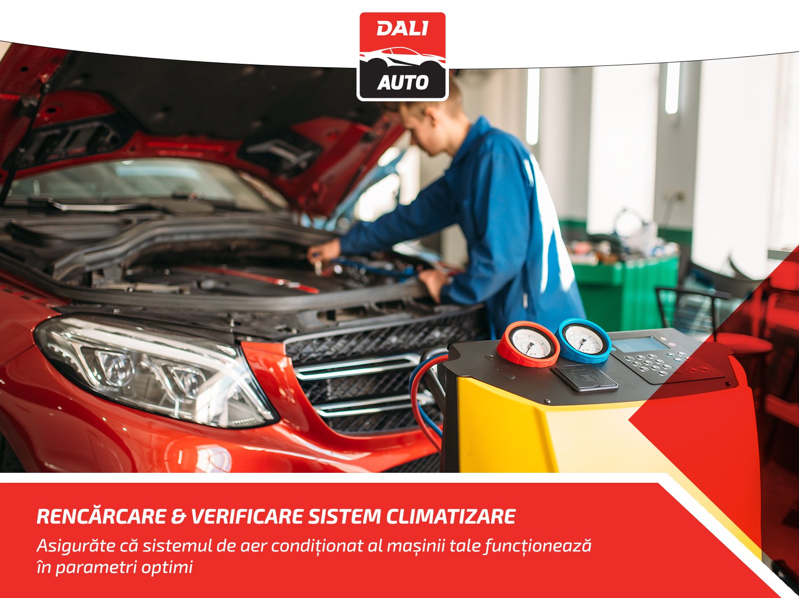 DALI AUTO | Arad
